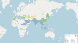 FB IMG 1775499118850