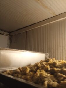 IMG 20231223 WA01272