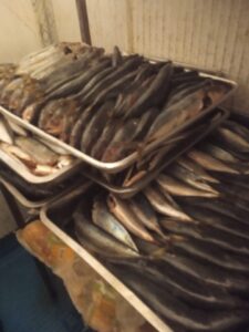 IMG 20231223 WA01303