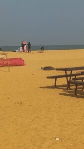 Food festival වලින් පස්සේ බිච් එකට වෙච්ච දේ? 20 IMG 20260405 WA0245