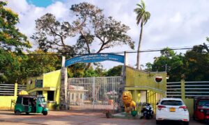 මීගමුවේ රාජපක්ෂ උද්යානයට මොකද වුනේ? 18 IMG 20260412 WA0021