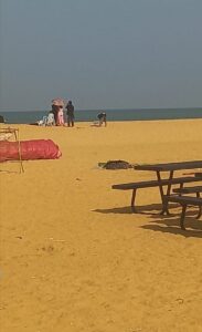 Food festival වලින් පස්සේ බිච් එකට වෙච්ච දේ? 15 IMG 20260405 110203