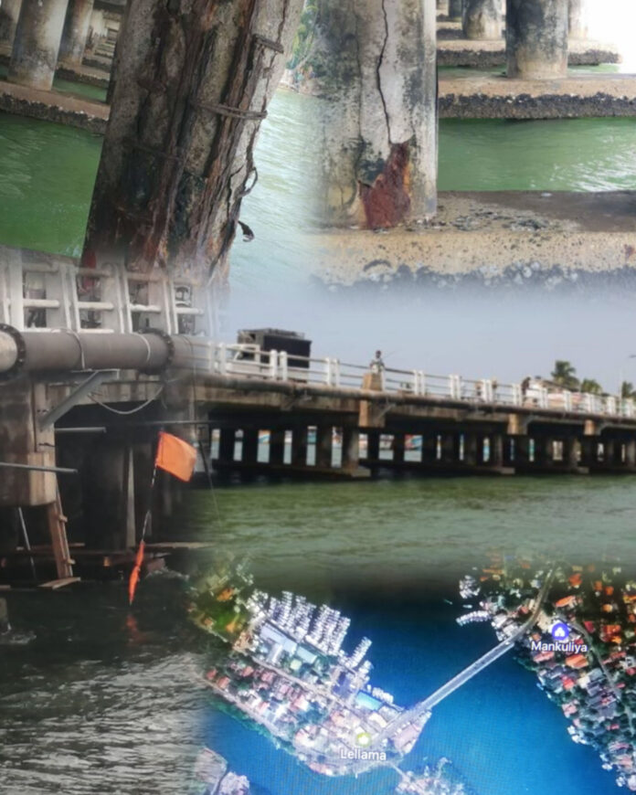 InShot_20260331_220952977