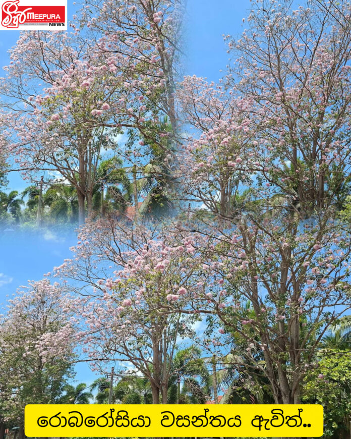 InShot_20260405_041740007