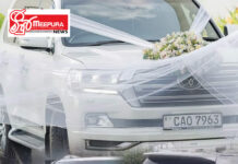 මීගමුවේ බට් වාහන කේස් එකට මොකද උනේ?