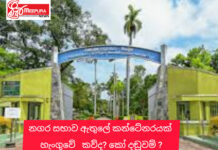 නගර සභාව ඇතුලේ අඩි 20ක කන්ටේනරය හැංගුවේ කව්ද? විමර්ශණයට මොකද වුනේ ?