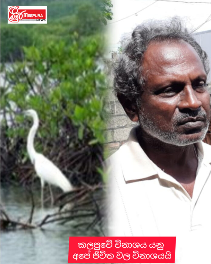 InShot_20260410_000903649