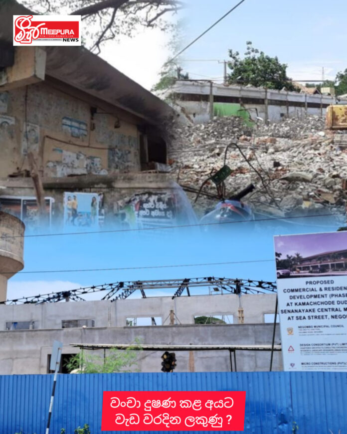 InShot_20260411_174153099