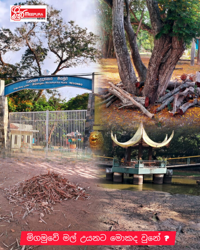 InShot_20260412_055804881