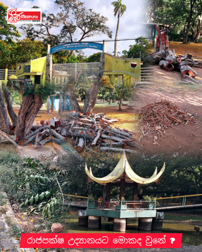 InShot_20260412_131356613