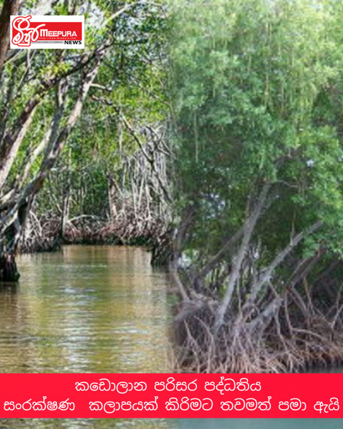 InShot_20260414_222222833