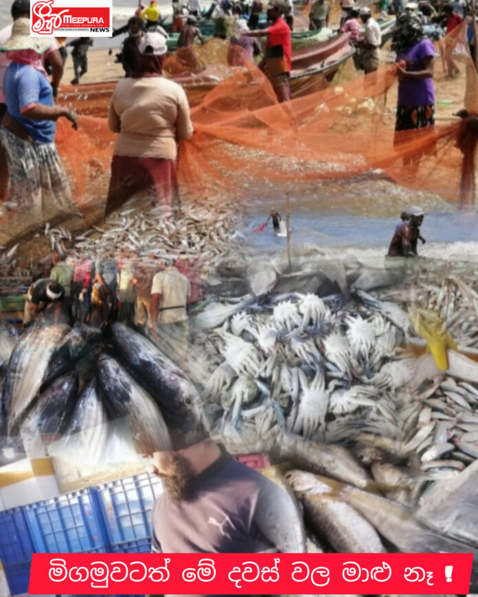 InShot_20260415_074545169