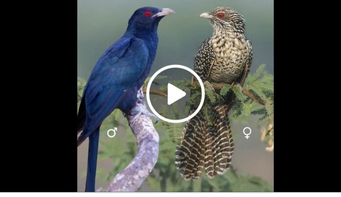 Screenshot_20260406_190611