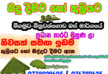 බදු දීමට හෝ කුළියට
