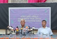 කටුපොල් වගාව හා එහි අහිතකර බලපෑම්