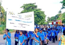 පිටිපන මහා විද්යාලයේ, වසර 125, ජුබිලි පා ගමන