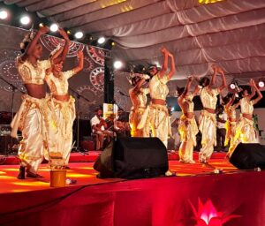 කටුනායක පුරවරය සදහම් සිසිලෙන් ඒකාලෝක කළ “” පූජා “” වෙසක් කලාපය. … 63 IMG 20260602 WA0017