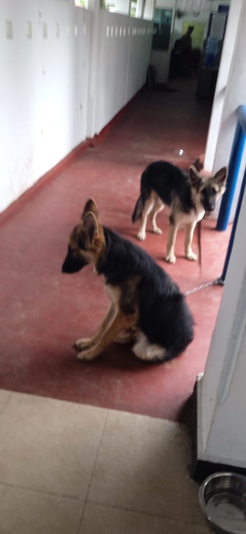 IMG-20260612-WA0030