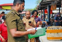 මීගමුව මාළු වෙළඳපොලේ මිනිස් පරිභෝජනයට , නුසුදුසු මාළු කිලෝ 60 ක් විනාශ කෙරේ