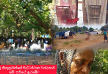 මීගමු කිතුනුවන්ගේ වාර්ෂික සිද්ධස්ථාන වන්දනාව මේ සතියෙන් ඇරඹේ.