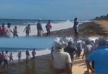 පමුණුගම මුහුදේ දිය පහරකට හසුව අතුරුදන් වූ පිරිසක් – තිදෙනෙකු හමුවෙයි