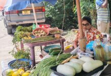 වසවිස නැති ගමේ එළවළු පලා ගන්නව නම් එන්න ලෙල්ලම ලග මේ පුංචි කඩේට..