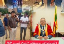 රටයි මිගමුවයි දෙකම මාලිමාවට හැබැයි බීච් පාක් එක තාමත් පවුලකට ..