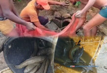 බුත්තල දැඩි වියළි කාලගුණයෙන් සිඳී යන වැව්වල මසුන් බේරා ගැනීමට තරුණයන්ගෙන් මානුෂීය මෙහෙයුමක්